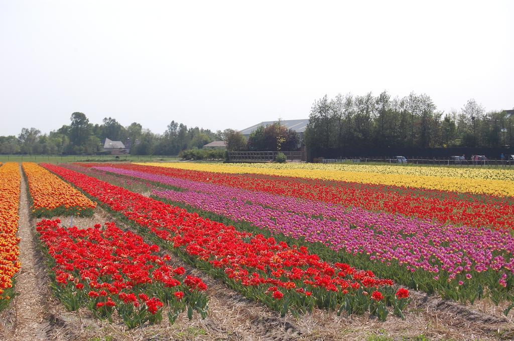 B&B Limmerzand Limmen ภายนอก รูปภาพ