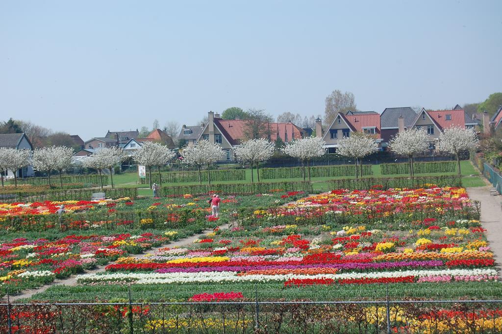 B&B Limmerzand Limmen ภายนอก รูปภาพ