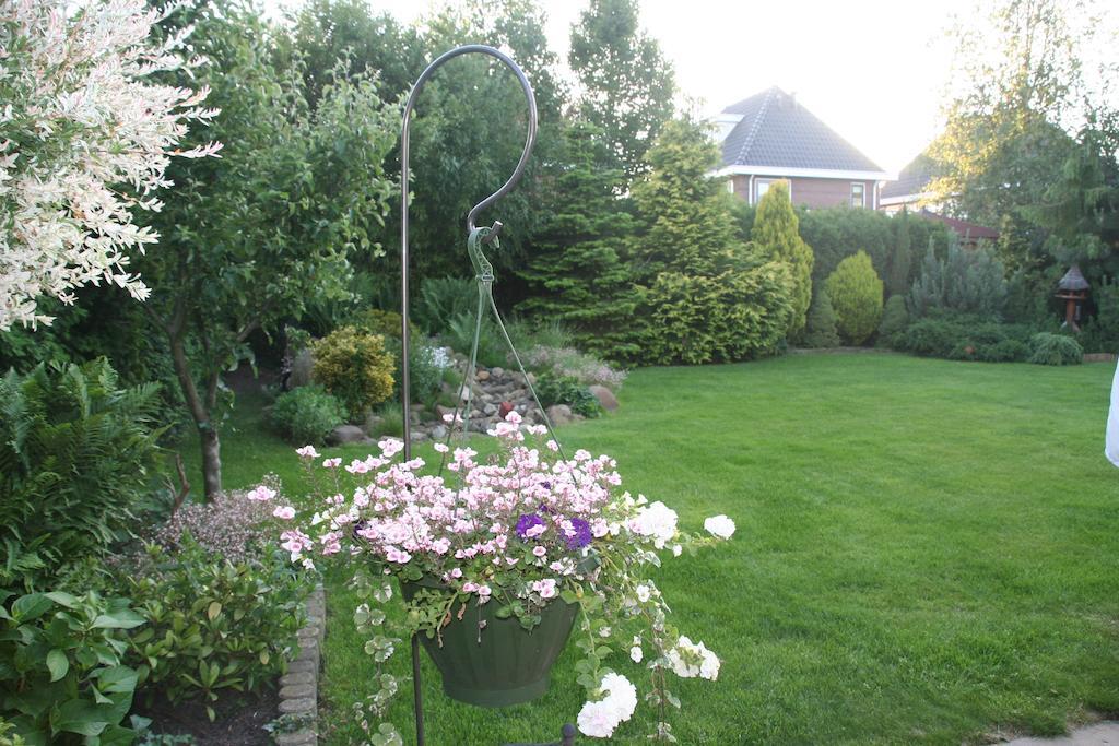 B&B Limmerzand Limmen ภายนอก รูปภาพ